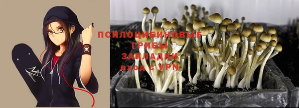 спайс Армянск