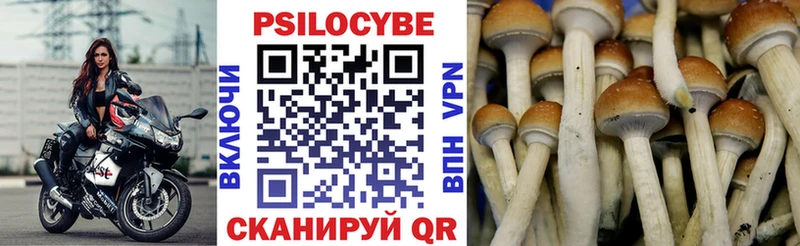 Псилоцибиновые грибы ЛСД  Темрюк 